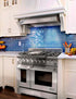 NXR LS Series Gas Range- Stainless Steel 6 German Sealed Burner with Convection Oven